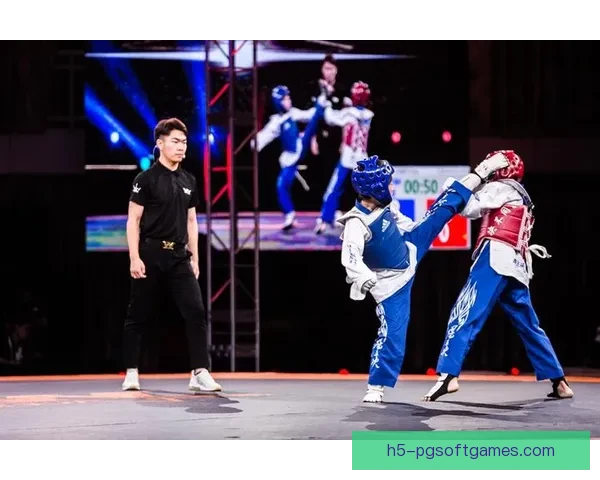 强者对决：空手道比赛的激情角逐