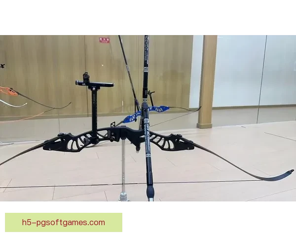 射箭数据分析：从箭靶到命中靶心的技艺探究