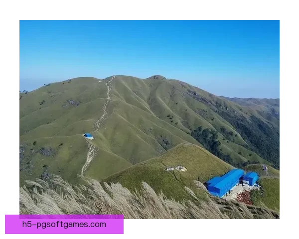 山地车冠军：征战险峻山峰，勇攀至巅荣耀绽放